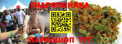 ALPHA PVP Кунгур