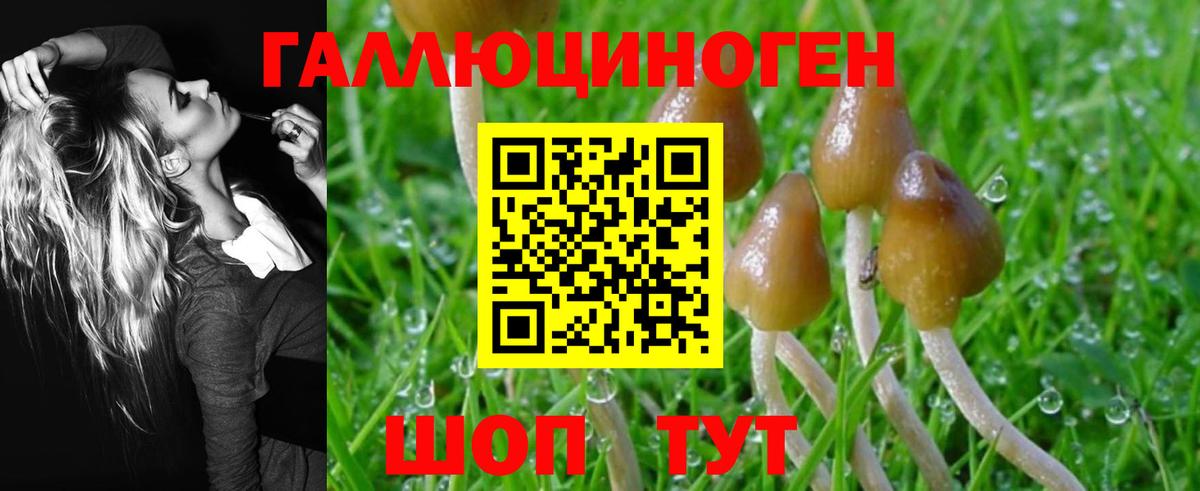 Галлюциногенные грибы GOLDEN TEACHER  Вход с VPN  Ипатово 