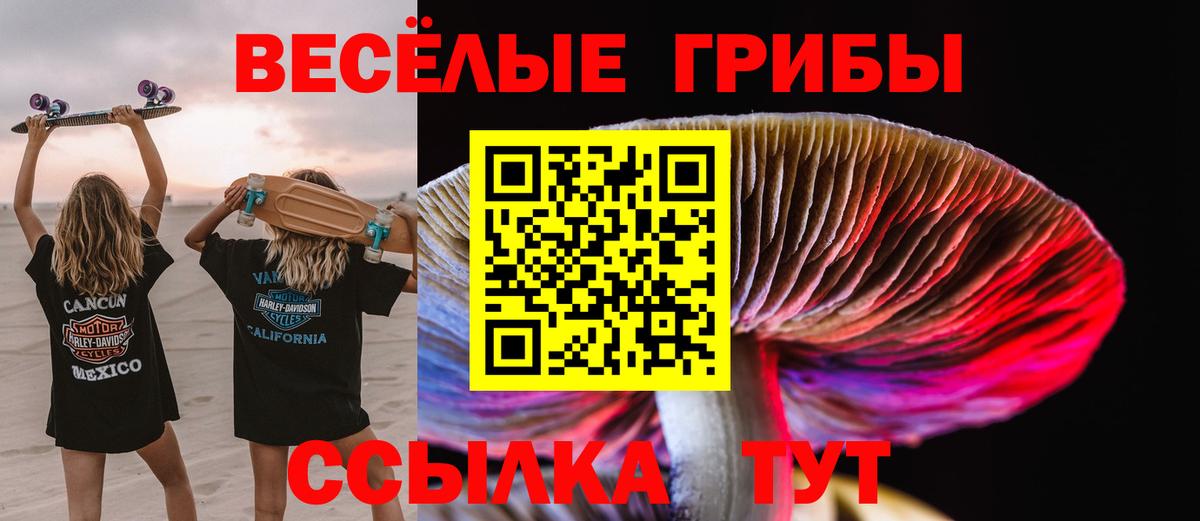 Галлюциногенные грибы прущие грибы Ипатово